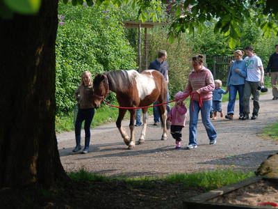 Bild 19 aus  Gutshof Baumbach