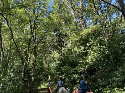 Bild 13 aus  LandSelection Rüsterhof