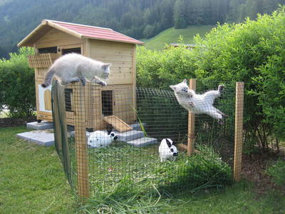 Bild 8 aus  Untersieglerhof