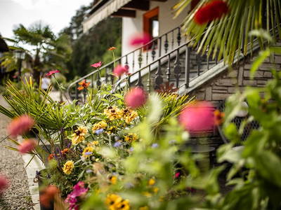 Bild 24 aus  Residence Obermoarhof