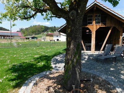 Bild 16 aus  Ferienhof Bentele