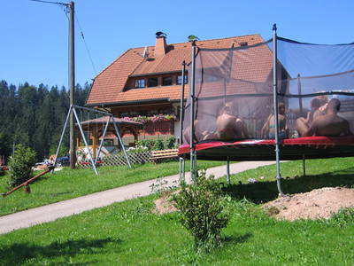 Bild 9 aus  Schreinerhäusle