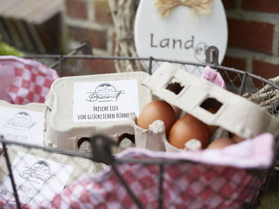 Frische Eier von unseren glücklichen Hühnern