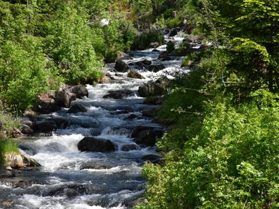 Bild 4 aus  Natürliches Ferienwohnen
