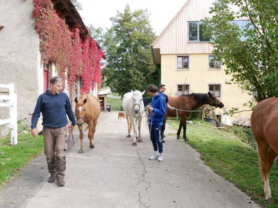 Bild 7 aus  Dachsmühle: Urlaub mit Pferd, Naturidylle, Ruhe, Auszeit