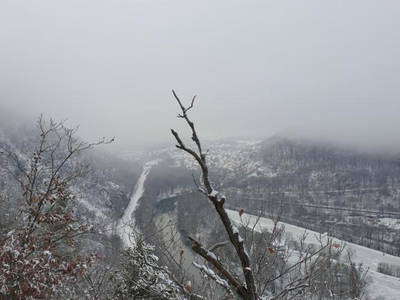 Bild 15 aus  Ferienhaus am Fluss