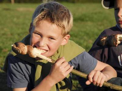 Bild 14 aus  Hof Heite