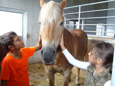 Bild 21 aus  Schötzerhof