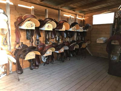 Bild 21 aus  Casa Bivignano