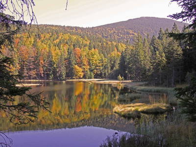 Bild 25 aus  Paulas Bauernhof im Bayerischen Wald