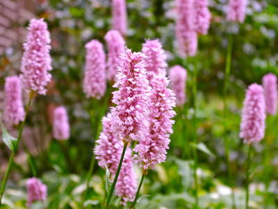 Bild 12 aus  Imkershof