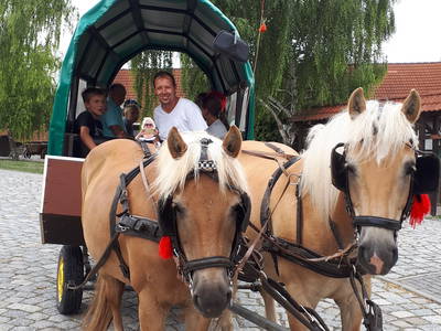 Bild 9 aus  Pension-Landhaus "Zum Ross"