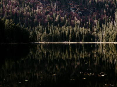 Bild 29 aus  Arber Lofts