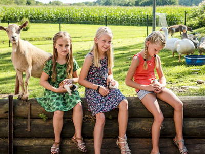 Bild 43 aus  Huberhof