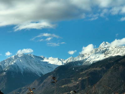 Bild 6 aus  Villa Alvarium