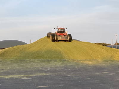 Bild 23 aus  Ferienhof Messer  Bauernhofurlaub  Ostseenähe  Ponys