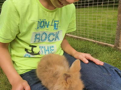 Bild 20 aus  Ferienhof Wegmann