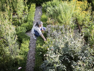Bild 28 aus  Traubenhof    Pures Leben-Echt und natürlich