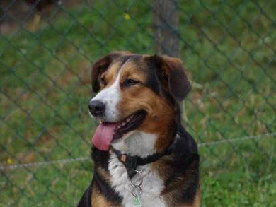 Bild 9 aus  Schlegelhansenhof