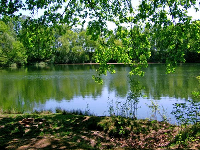 Bild 5 aus  Gut Grasbeck