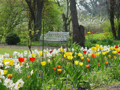 Bild 29 aus  Gut Friederikenhof