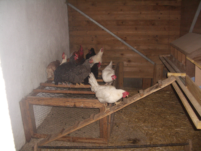 Bild 7 aus  Ferienhaus Henn