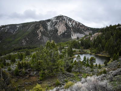 Bild von <a href="https://pixabay.com/de/users/taylorlayne-26353212/?utm_source=link-attribution&utm_medium=referral&utm_campaign=image&utm_content=7274247">Taylor Lancaster</a> auf <a href="https://pixabay.com/de//?utm_source=link-attribution&utm_medium=