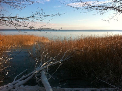 Bild 12 aus  Waldhof Bruchmühle