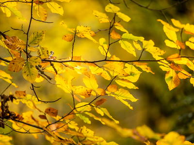 Bild 59 aus  Gut Neuwerk