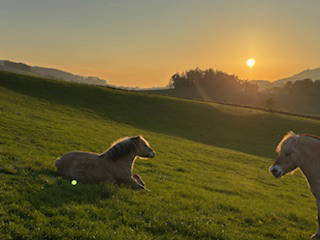 Bild 14 aus  Ferienhof Käsrah