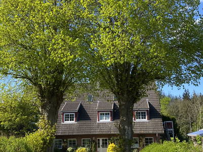 Bild 73 aus  Ferienhof Messer  Bauernhofurlaub  Ostseenähe  Ponys