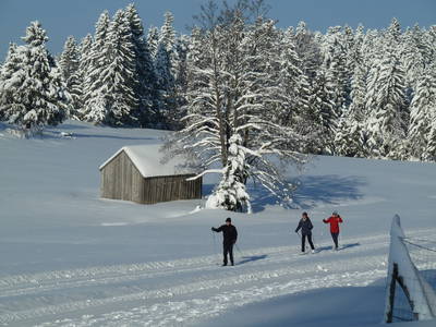 Loipe vor der Haustür