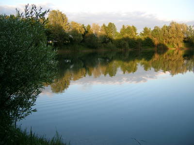 Bild 35 aus  Ferienhof Rösch