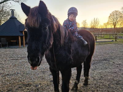 Bild 17 aus  Ferienhof-Marx