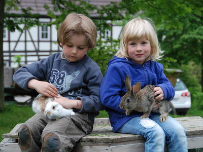 Bild 17 aus  Gutshof Baumbach