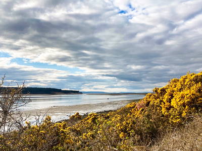 Bild 10 aus  Doune Cottage Findhorn