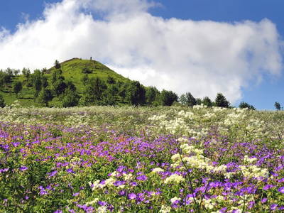 Bild 9 aus  Der Wassermannshof