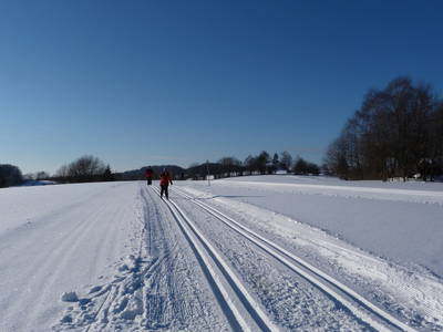 Bild 22 aus  Ferienhof Landhaus Guglhupf