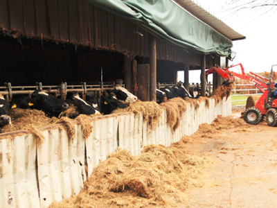 Bild 12 aus  Hof Berensheck