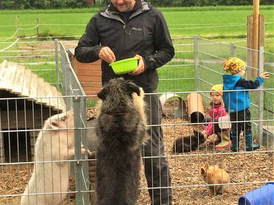 Bild 13 aus  Schwalbenhof