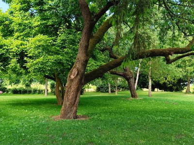 Bild 13 aus  Coproyshof am See