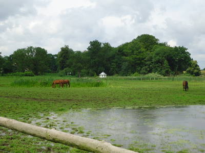 Bild 30 aus  FerienGut Dalwitz     www.feriengutdalwitz.de