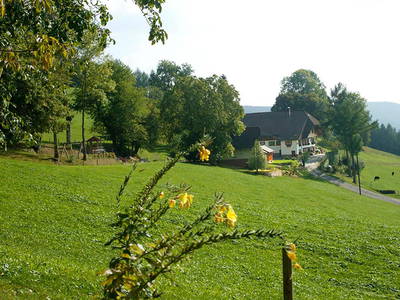Bild 5 aus  Hanselehof