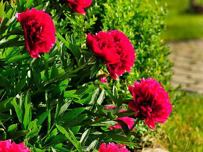 Bild 9 aus  Ferienhof Gögelein