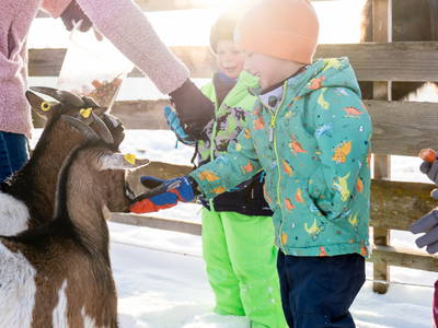 Bild 15 aus  "Forellen - Reiterhof" 5 Sterne Hof direkt am See