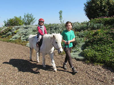 Bild 8 aus  Lautersheimer Gutshof