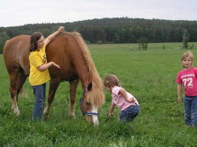 Bild 9 aus  Wofahanslhof