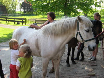 Bild 11 aus  Ferienhof Gellert