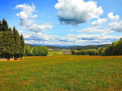 Bild 46 aus  Paulas Bauernhof im Bayerischen Wald
