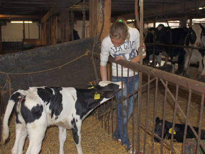 Bild 23 aus  Ommen Ferienhof